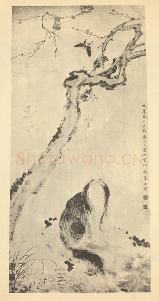 清 华岩《耄耋图》国画作品