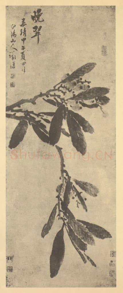 明 陈淳《晚翠图》国画作品