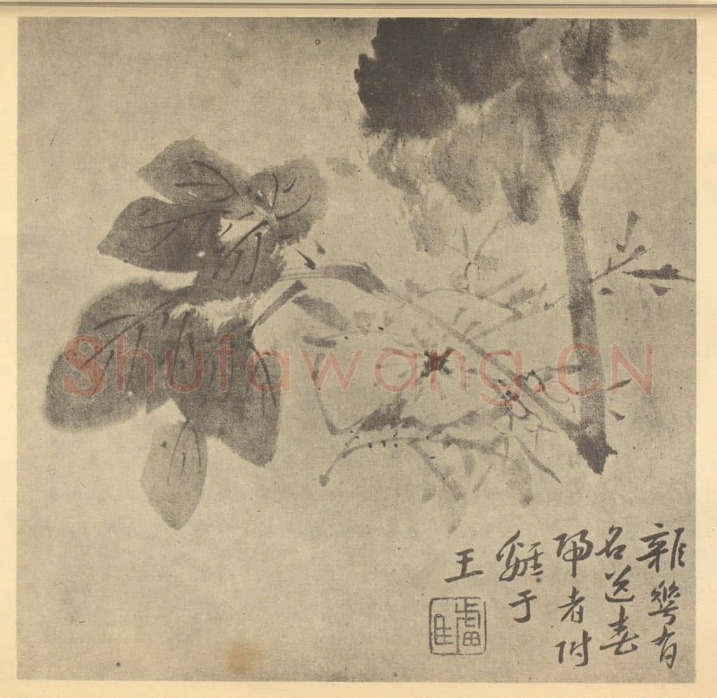 清 朱耷《杂花》国画作品