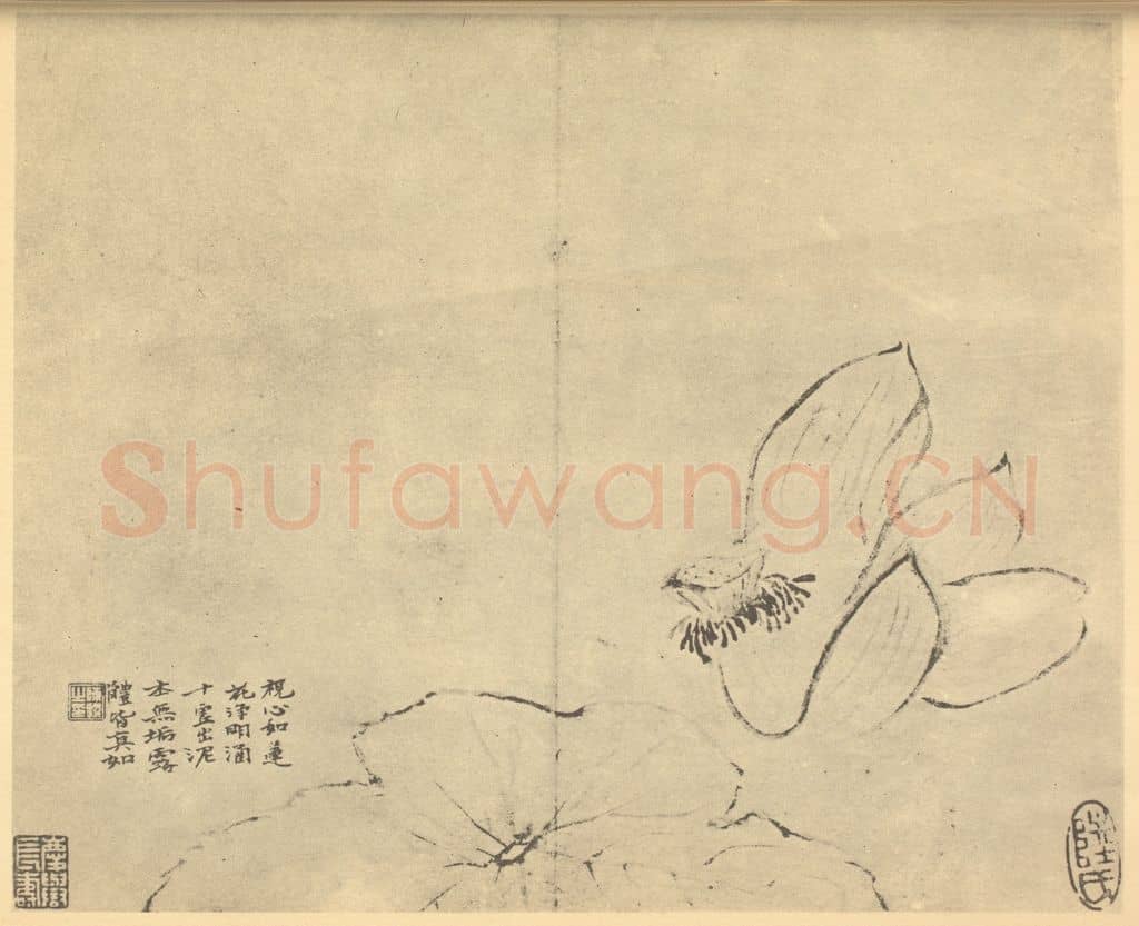 清 陈撰《荷花》国画作品