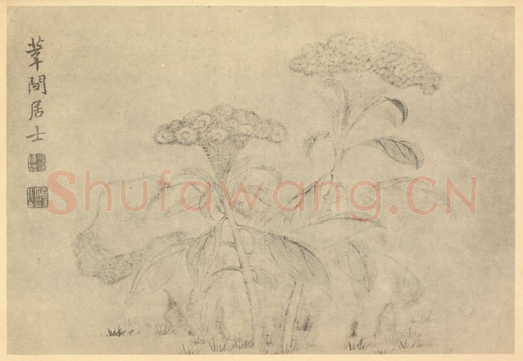 清 边寿民《鸡冠花》国画作品