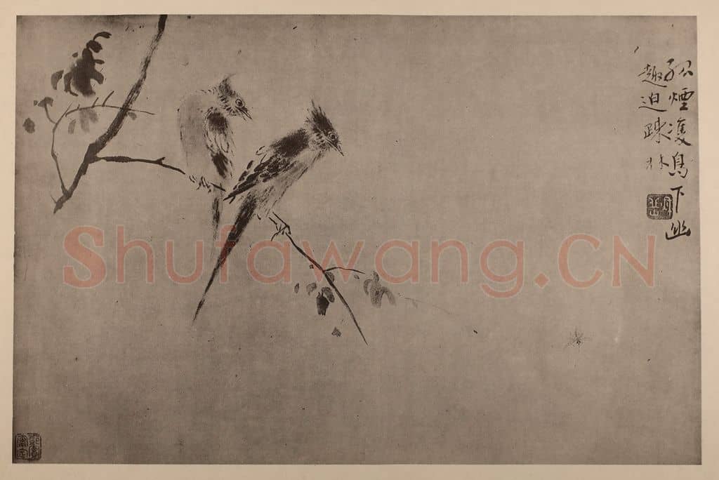 清 华岩《双鸟图页》国画作品
