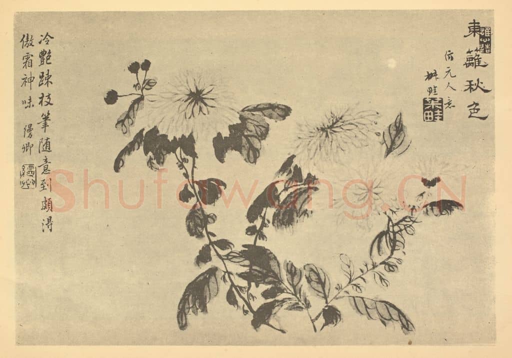 清 王学浩《菊》国画作品