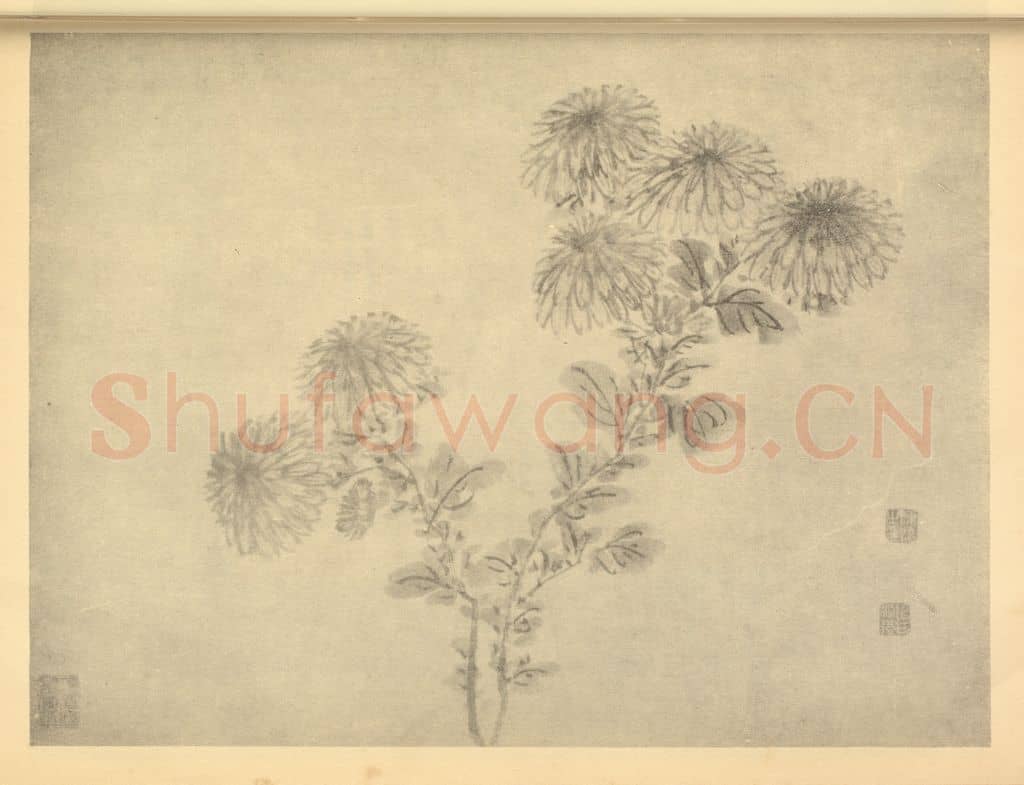 明 陈淳《菊》国画作品