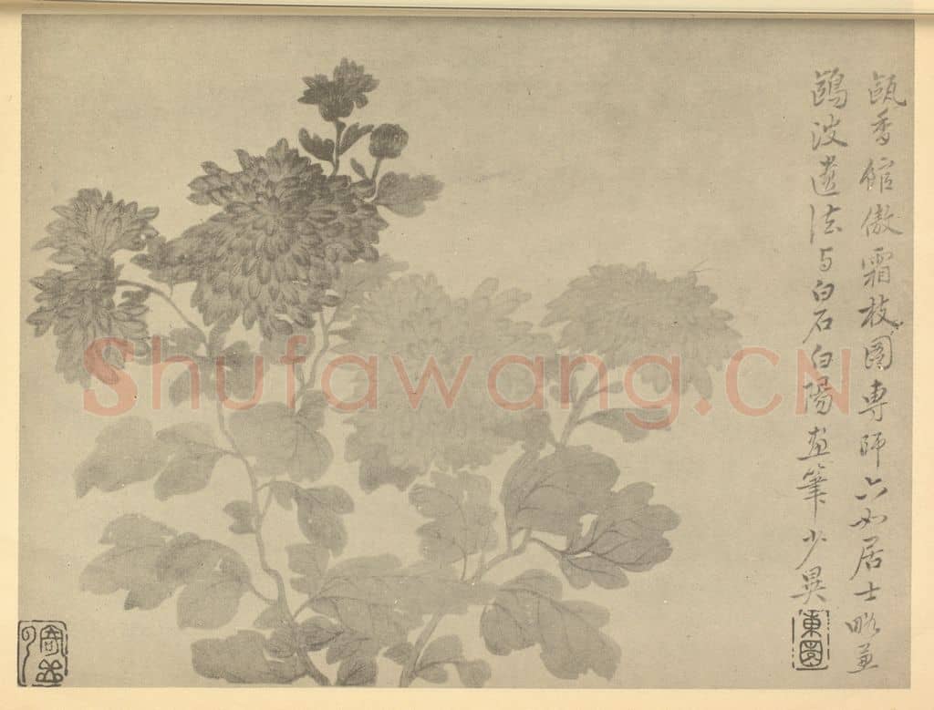 清 恽寿平《菊》国画作品