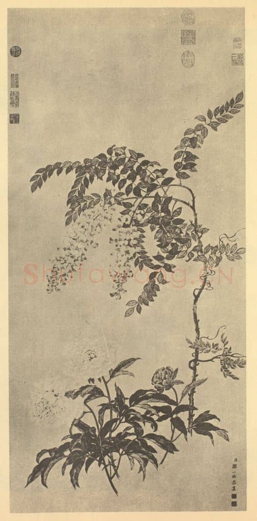 清 邹一桂《芍药藤花》国画作品