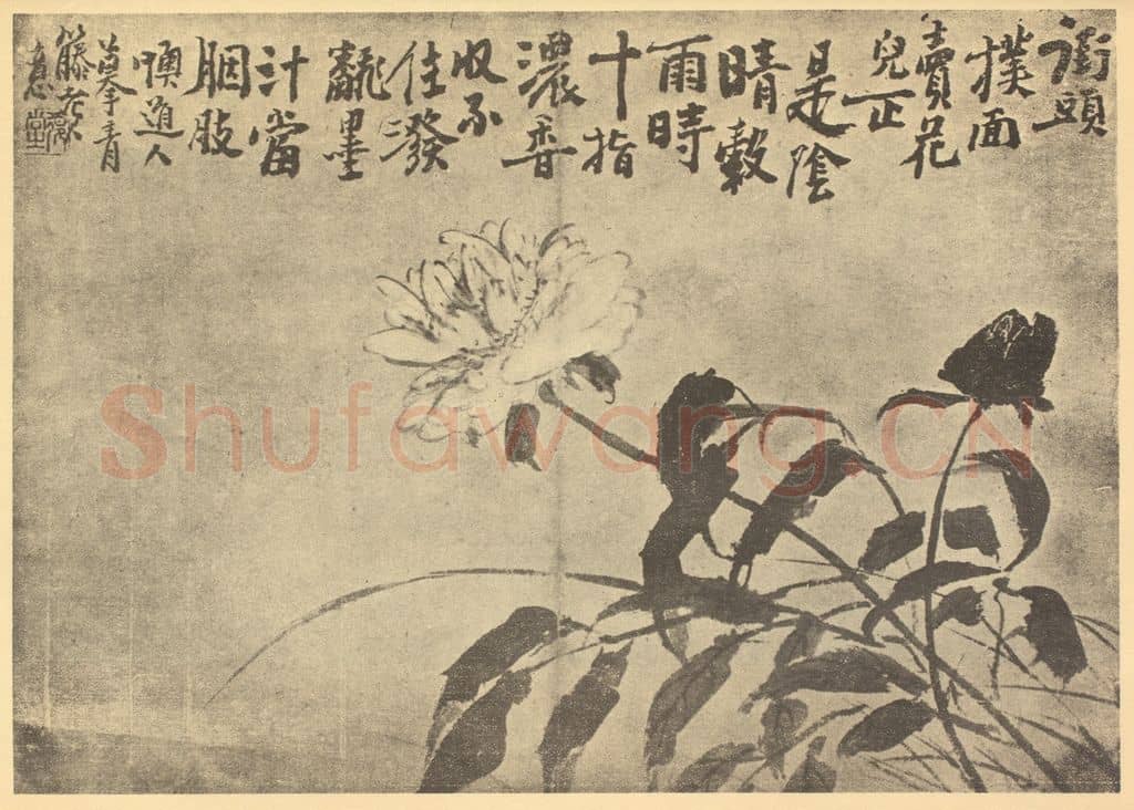 清 李鳝《芍药》国画作品