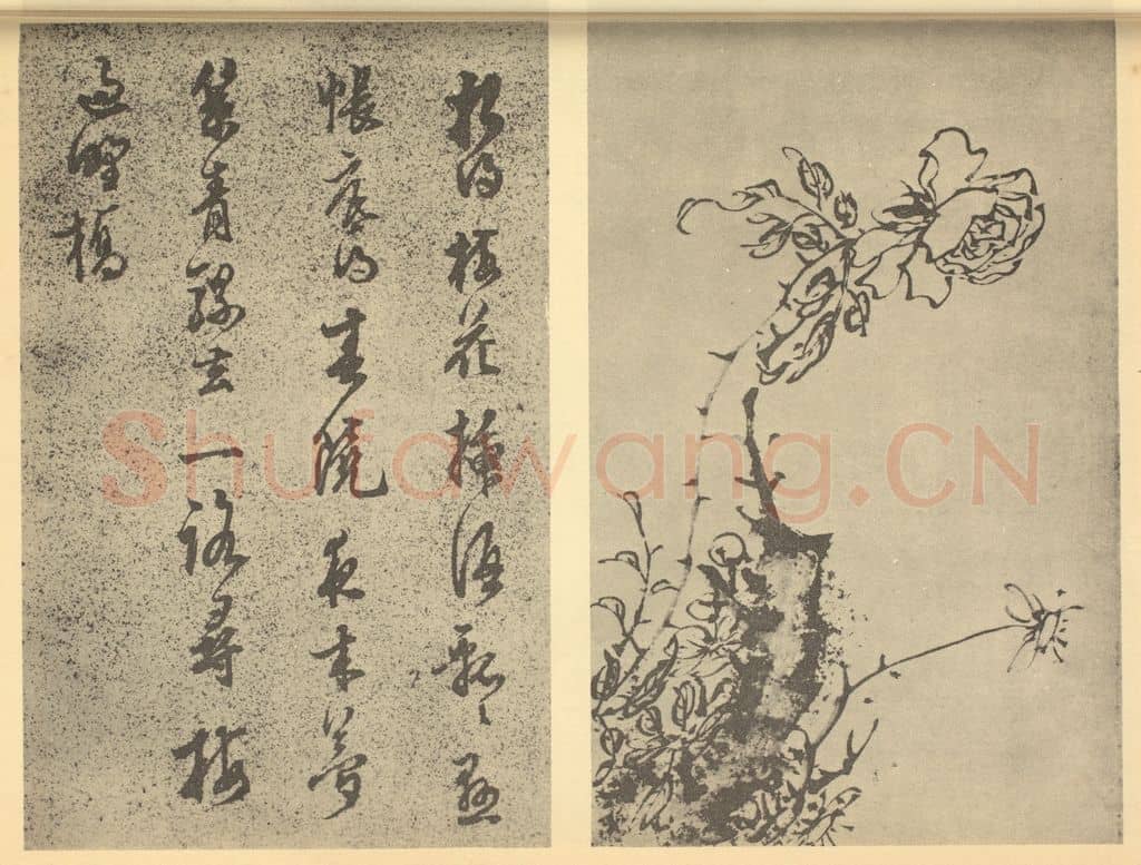 明 陈继儒《蔷薇图》国画作品