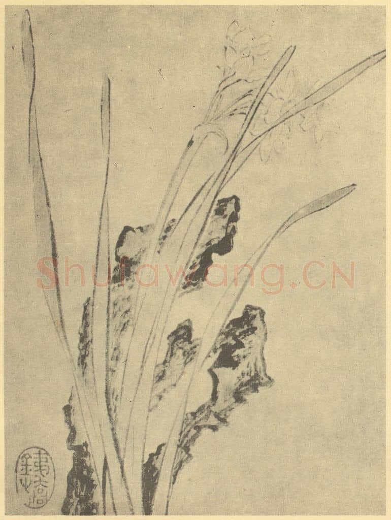 明 大憨《水仙》国画作品
