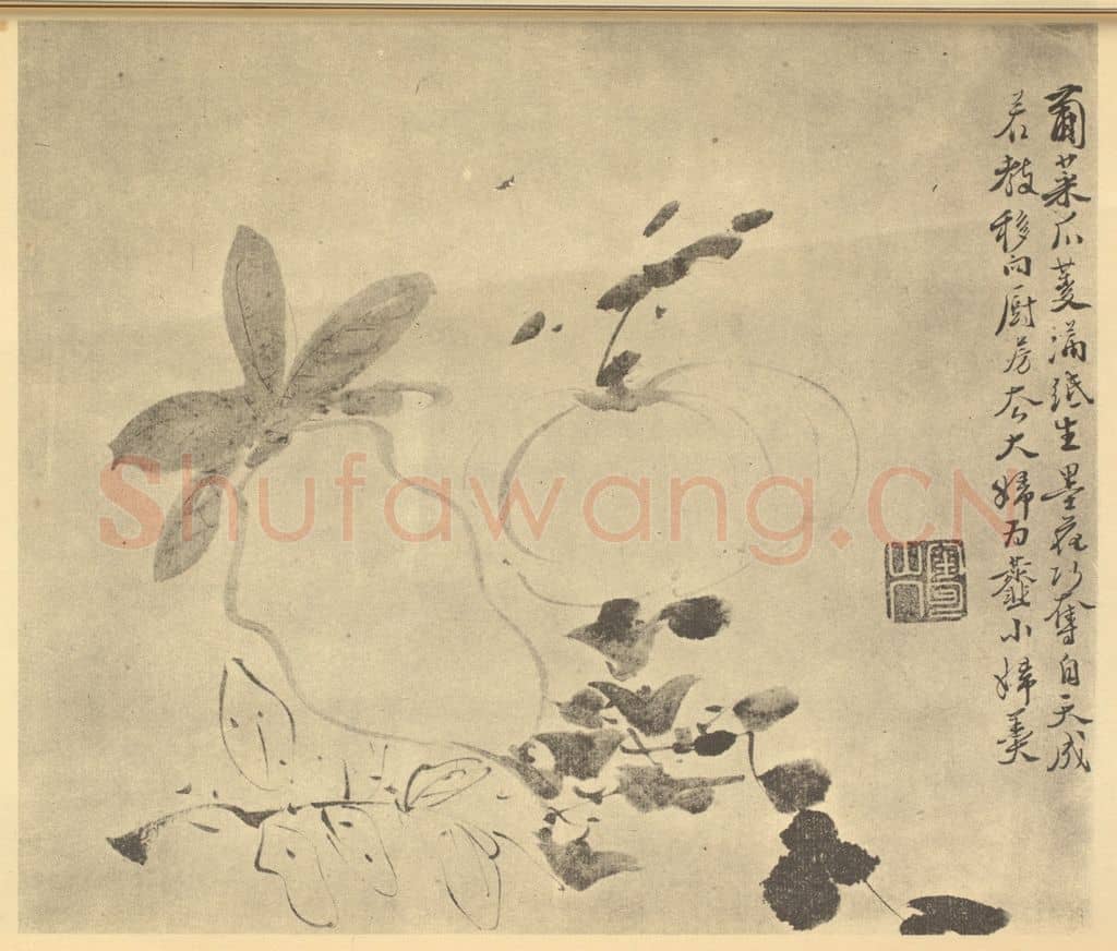 明 徐渭《葡菜瓜菱图》国画作品