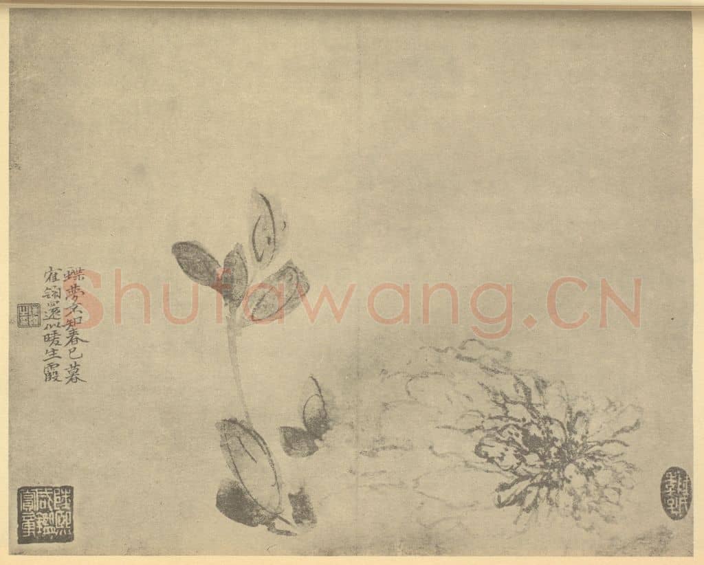 清 陈撰《牡丹》国画作品