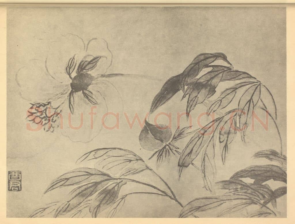 清 蒋廷锡《芍药》国画作品