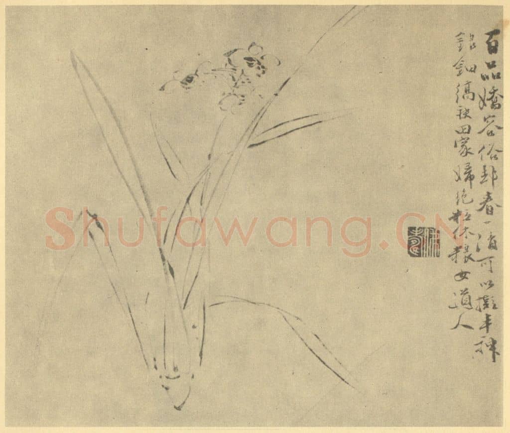 明 徐渭《水仙》国画作品