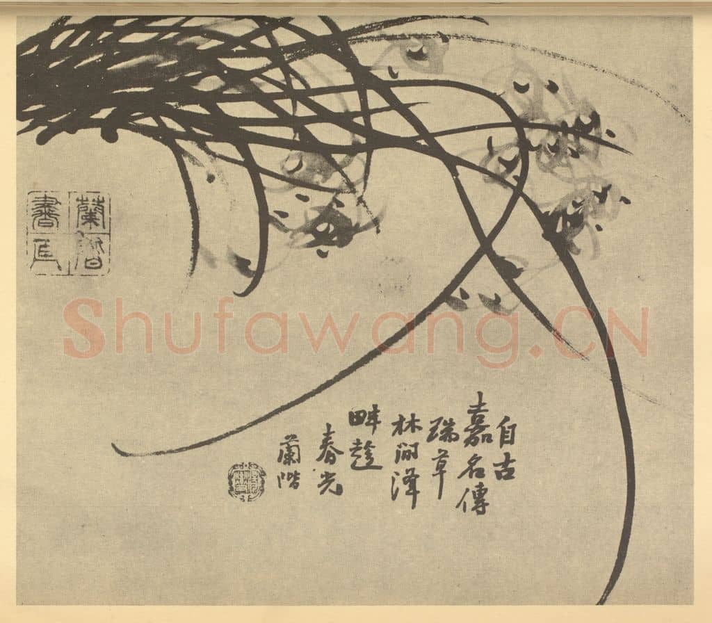 清 汤燮《兰》国画作品