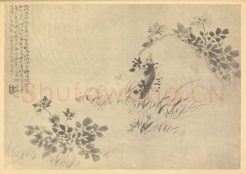 清 王正《莲华草图》国画作品