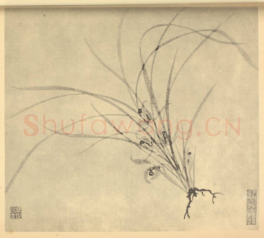 明 周天球《兰》国画作品