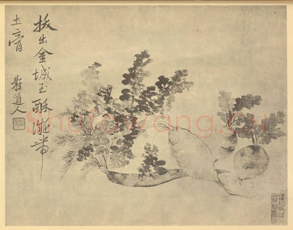 清 恽寿平《萝卜》国画作品