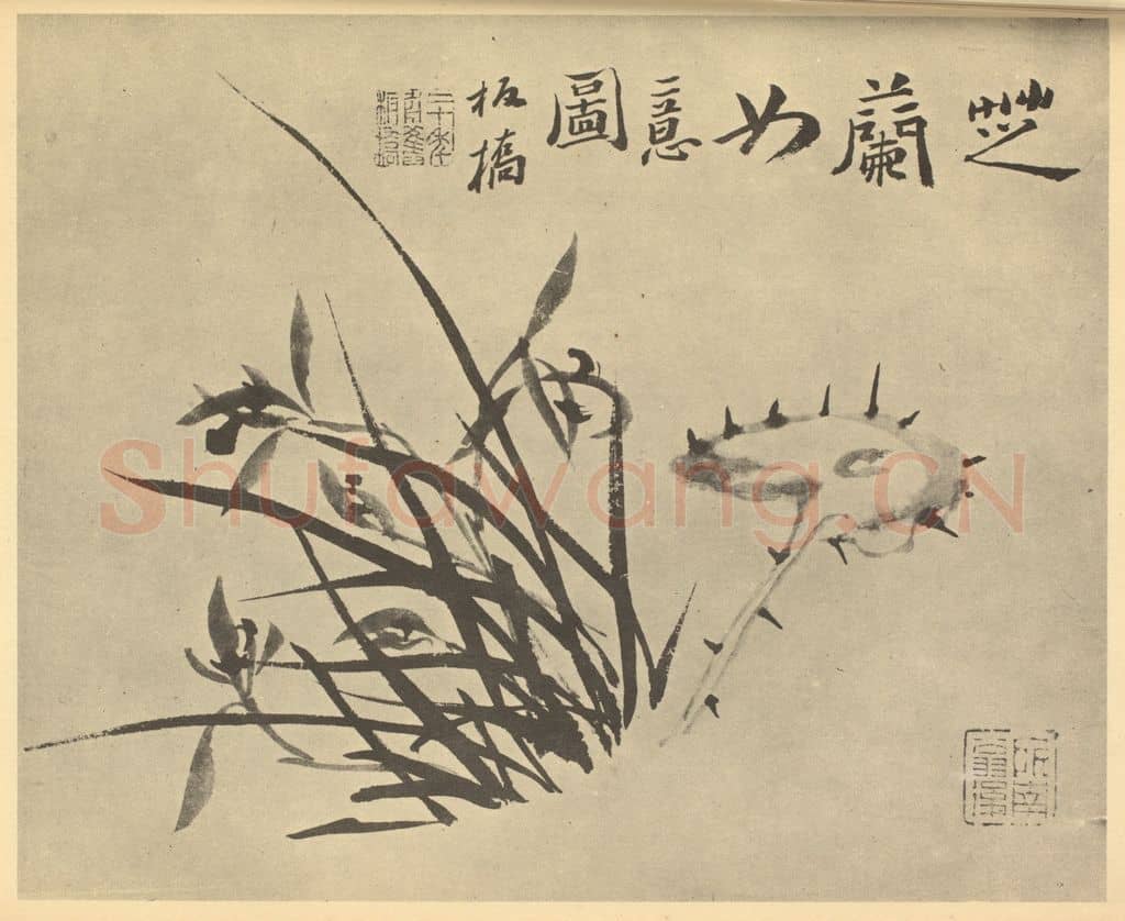 清 郑燮《兰芝》国画作品