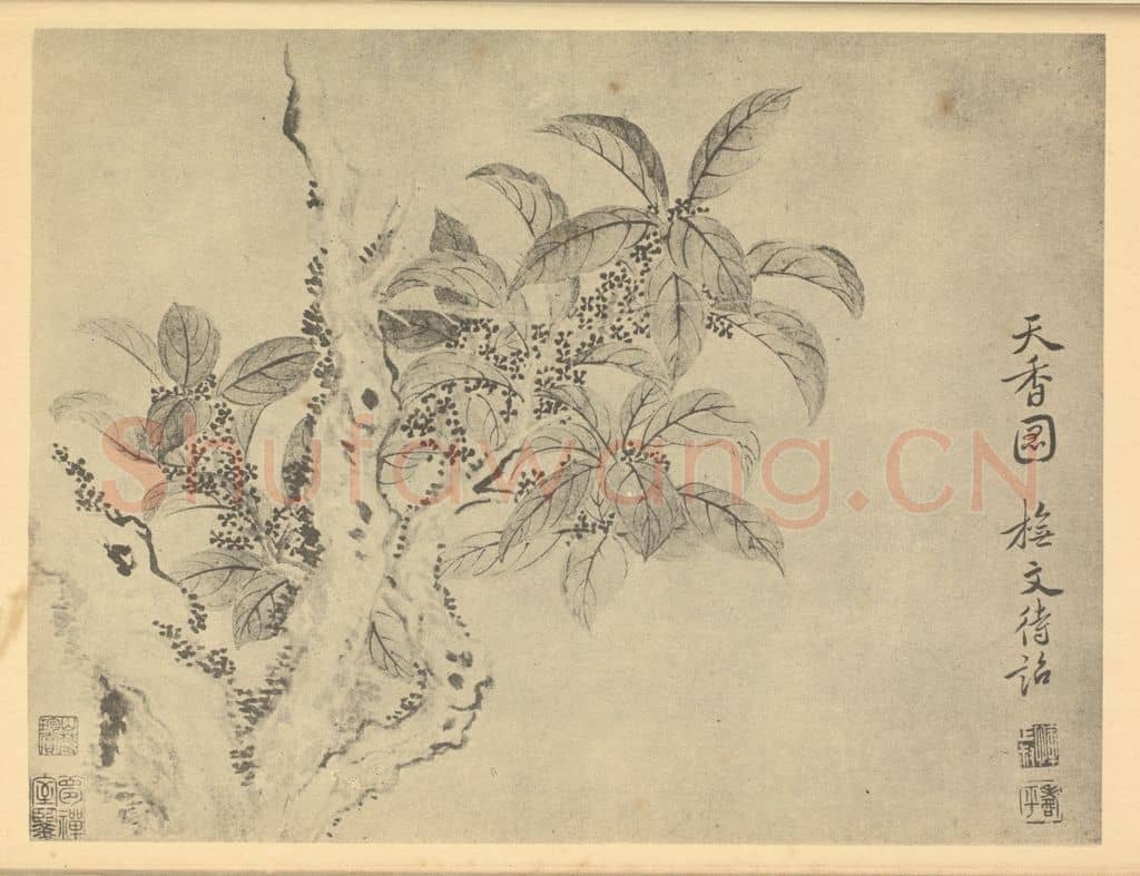 清 恽寿平《天香图》国画作品