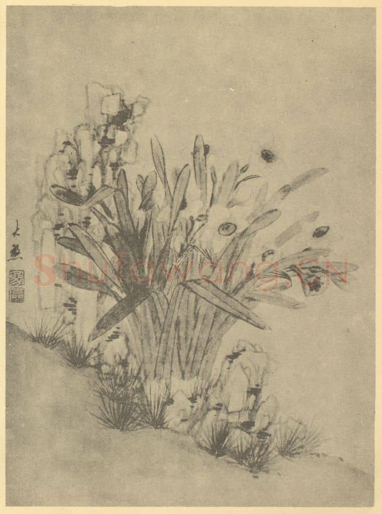 清 张穆《水仙》国画作品