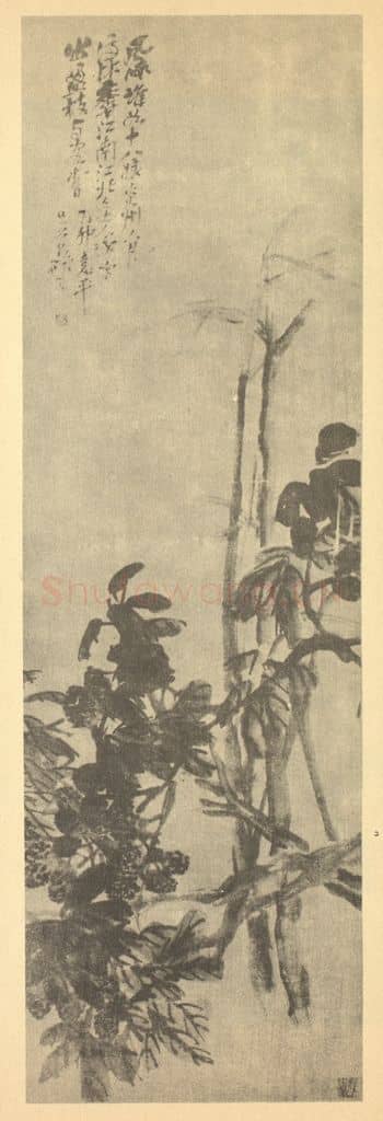 清 吴昌硕《荔枝》国画作品