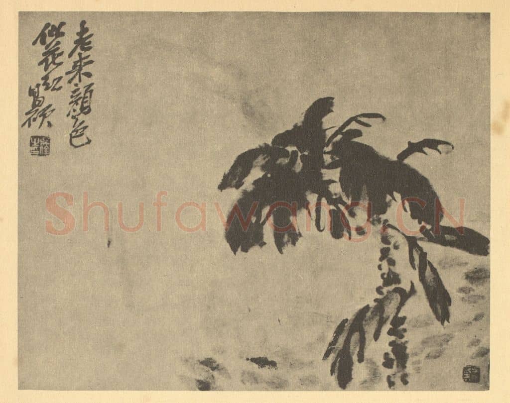 清 吴昌硕《雁来红图》国画作品