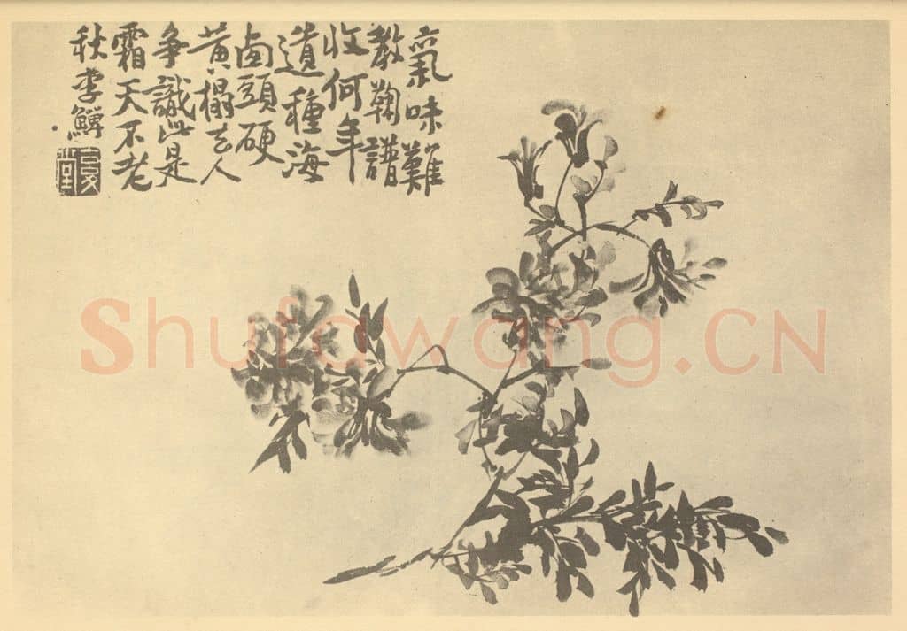 清 李鳝《黄华》国画作品