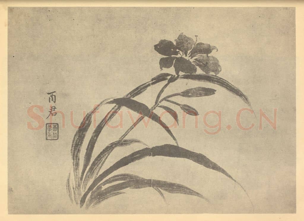 清 蒋廷锡《萱草》国画作品
