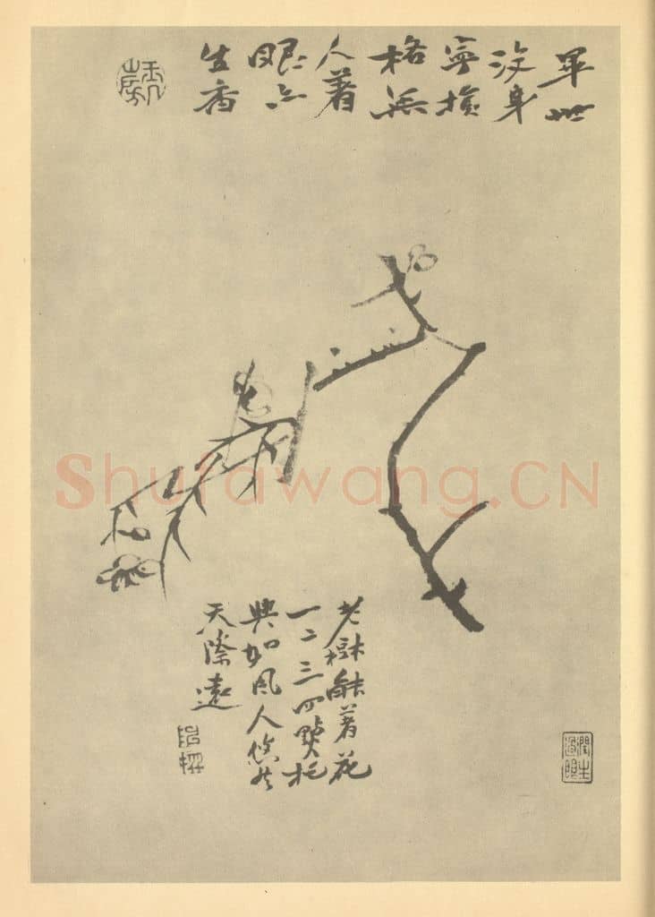 清 陈撰《梅花》国画作品