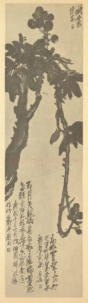 清 吴昌硕《枇杷》国画作品
