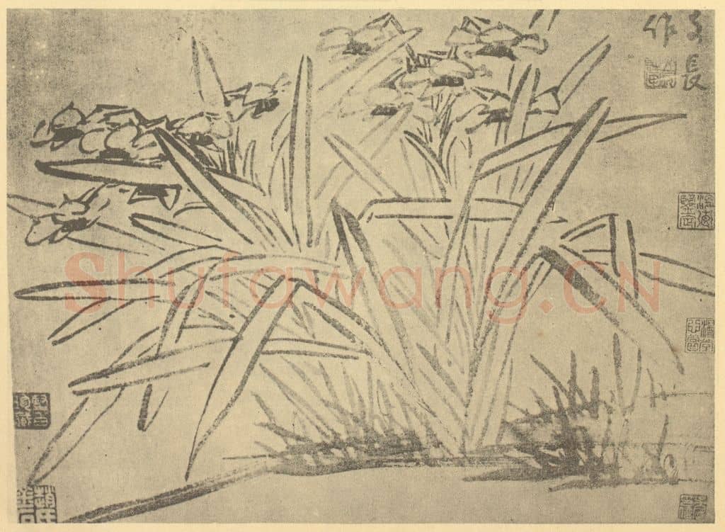 明 徐渭《水仙》国画作品