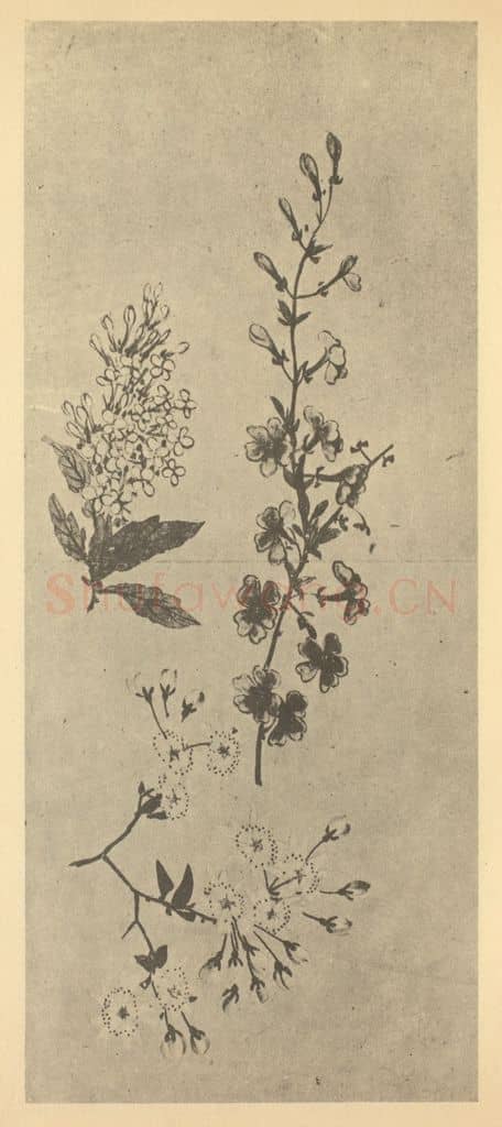 清 黄钺《二十四番华信（二）》国画作品