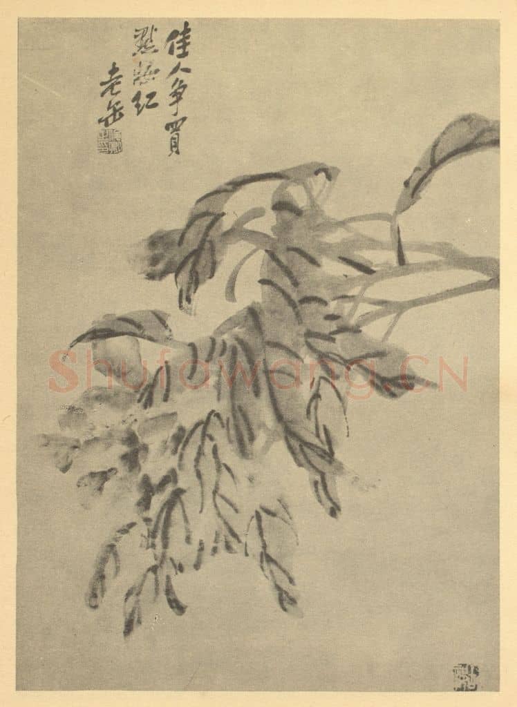 清 吴昌硕《芍药》国画作品