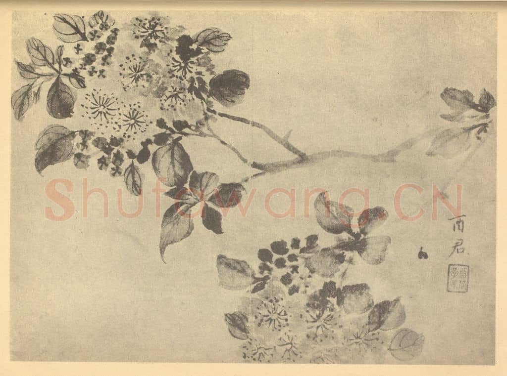 清 蒋廷锡《紫薇》国画作品