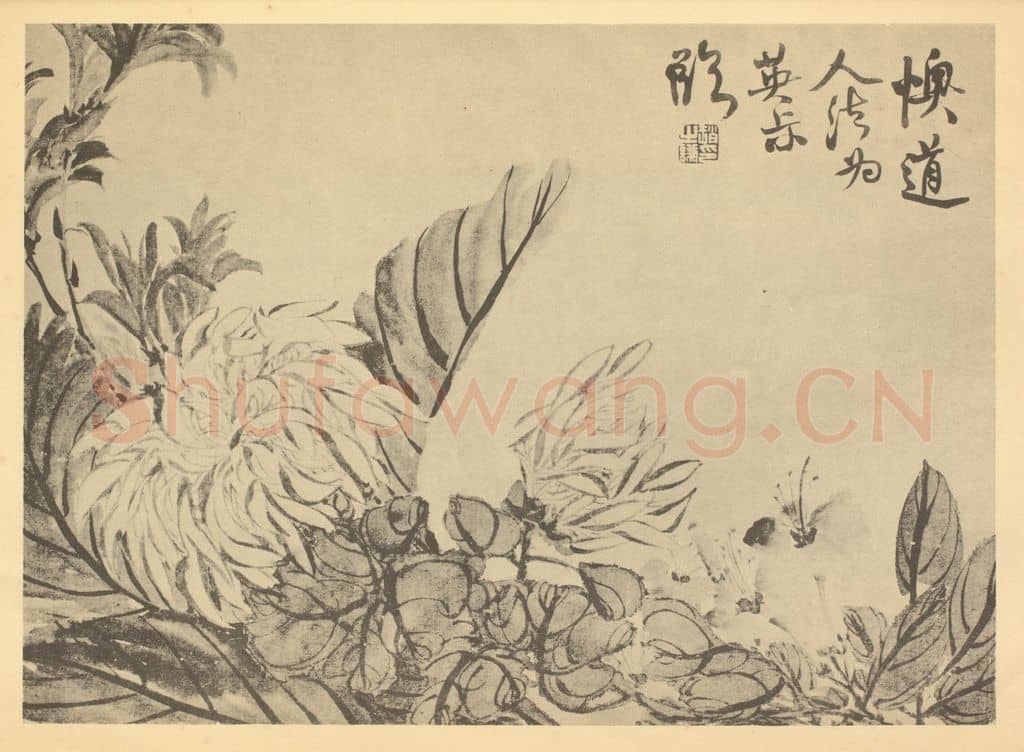 清 赵之谦《菊》国画作品