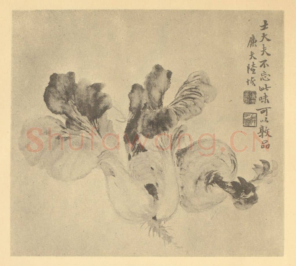 清 陆恢《蔬菜》国画作品