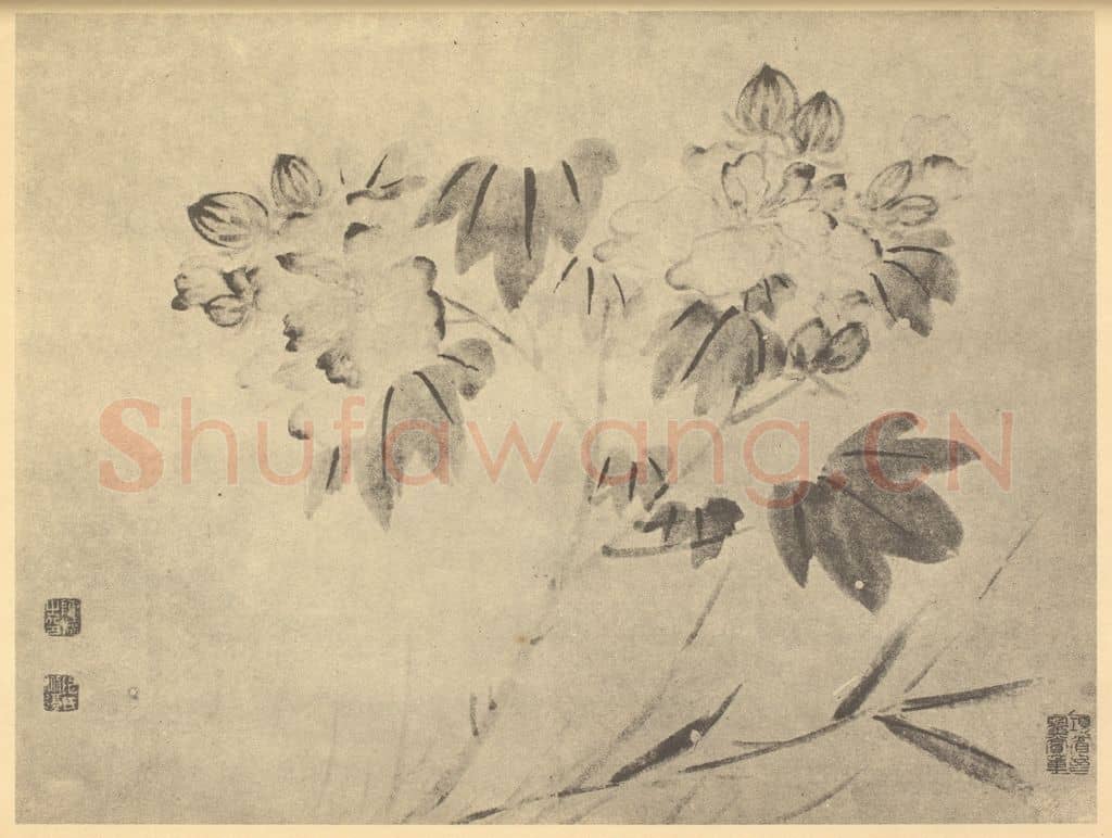 明 陈淳《芙蓉图》国画作品