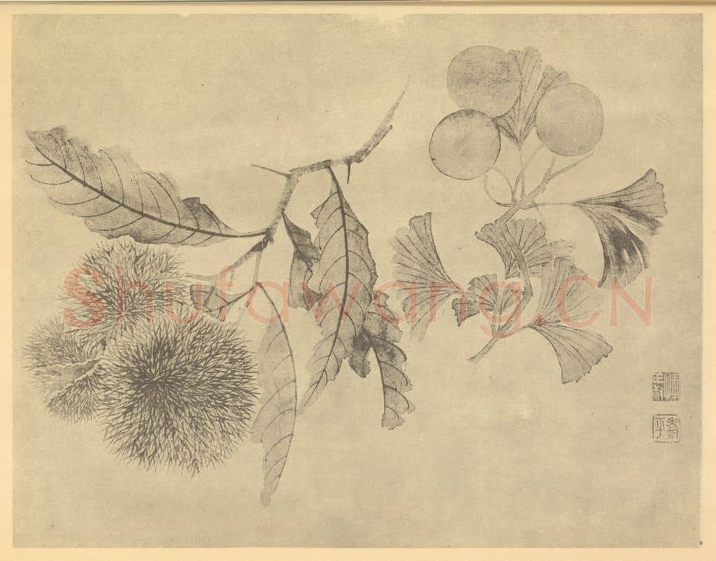清 恽寿平《栗·银杏》国画作品