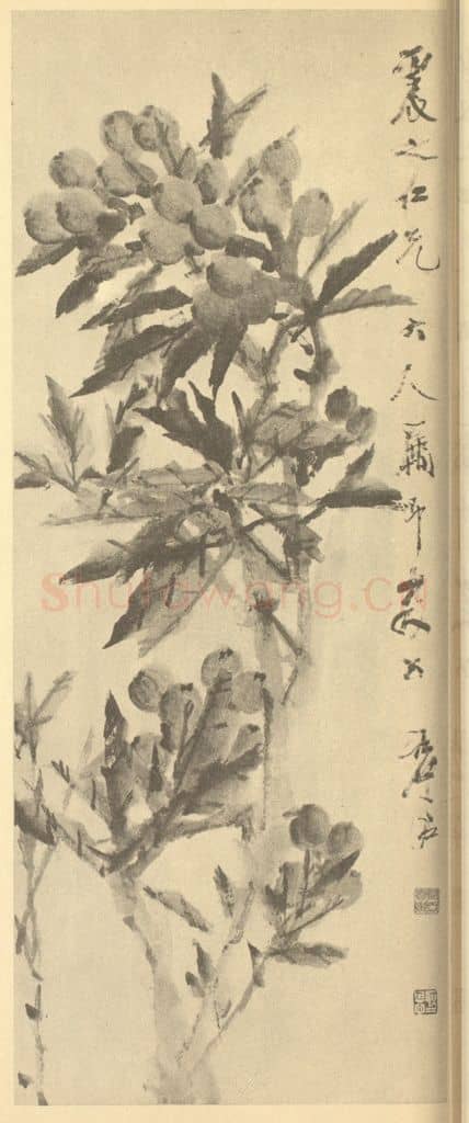 清 虚古《枇杷》国画作品
