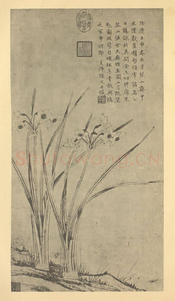 明 张元士《水仙》国画作品