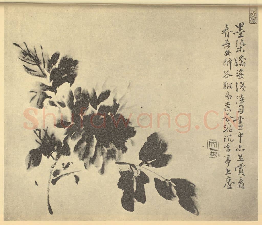 明 徐渭《牡丹》国画作品