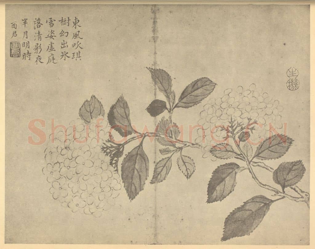 清 蒋廷锡《绣球》国画作品