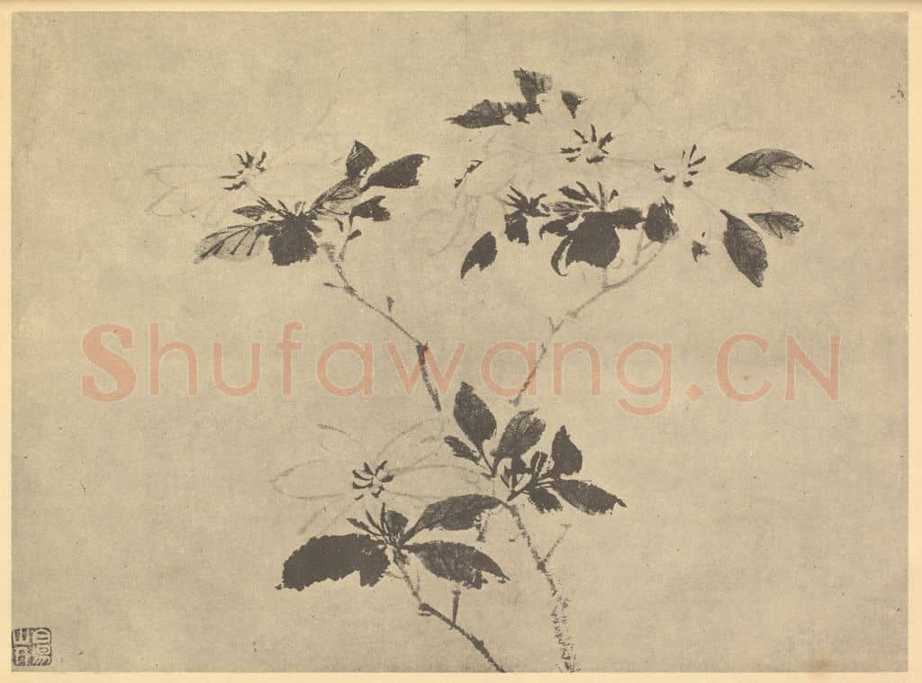 明 陈淳《栀子》国画作品