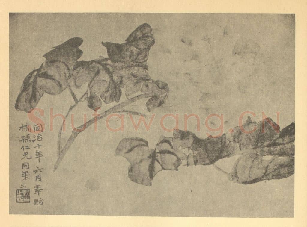 清 赵之谦《牡丹》国画作品