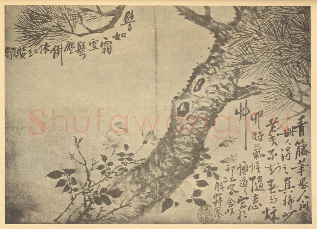 清 李鳝《不老长春图》国画作品