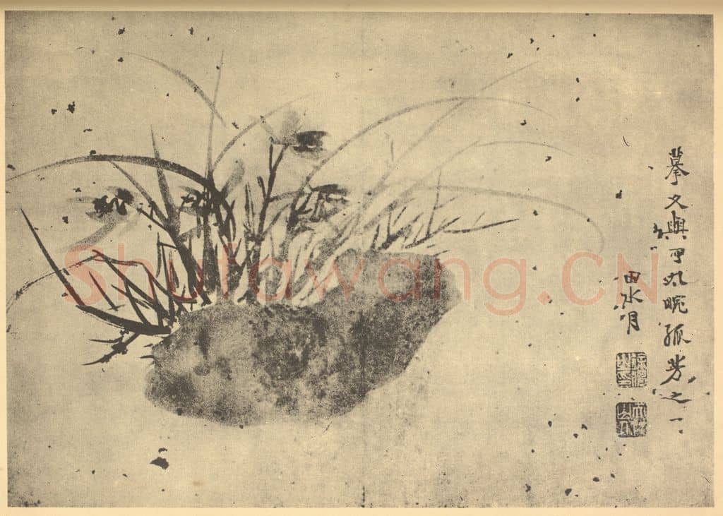 明 徐渭《兰石》国画作品