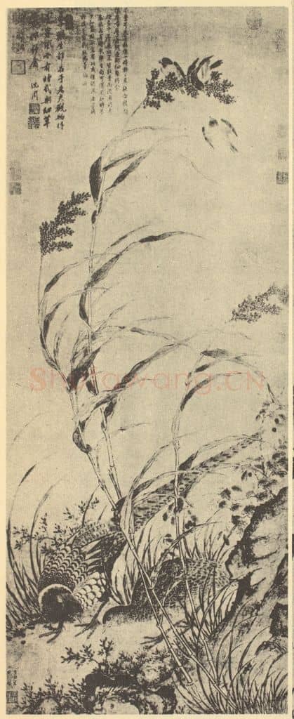 明 吕纪《草花野禽图》国画作品