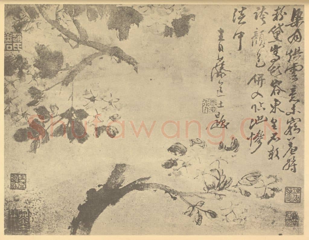明 徐渭《海棠图》国画作品