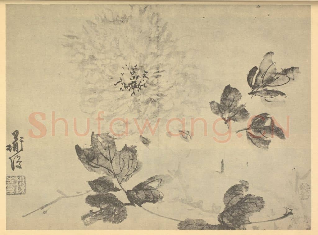 明 陈淳《牡丹》国画作品