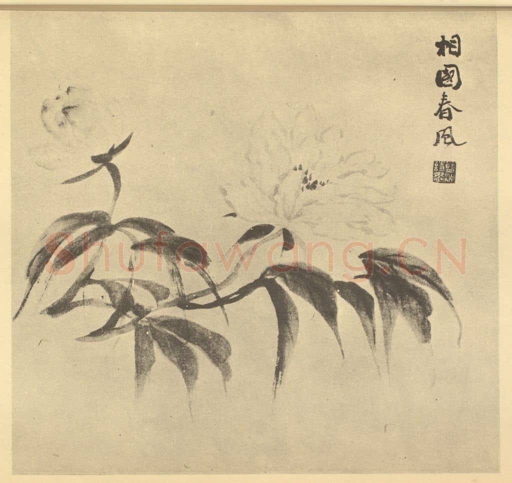 清 陈豪《芍药》国画作品